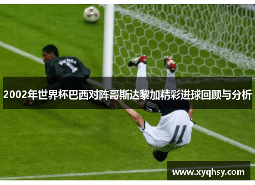 2002年世界杯巴西对阵哥斯达黎加精彩进球回顾与分析