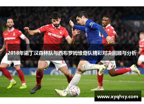 2018年诺丁汉森林队与西布罗姆维奇队精彩对决回顾与分析